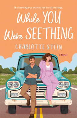 book cover for While You Were Seething