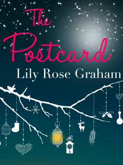 book cover for The Postcard