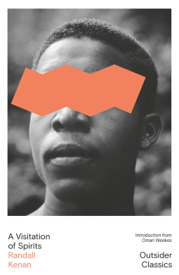 book cover for A Visitation of Spirits