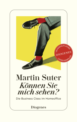 Buchcover für Können Sie mich sehen?