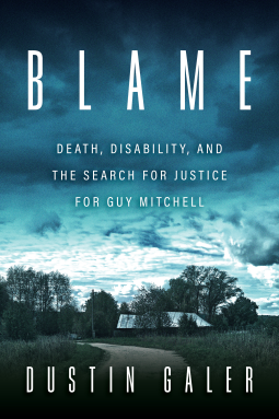 book cover for Blame