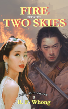 book cover for Fire Between Two Skies