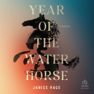 book cover for Year of the Water Horse