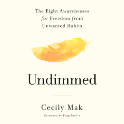book cover for Undimmed
