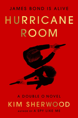 book cover for Hurricane Room