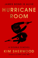 book cover for Hurricane Room