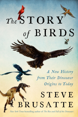 book cover for The Story of Birds