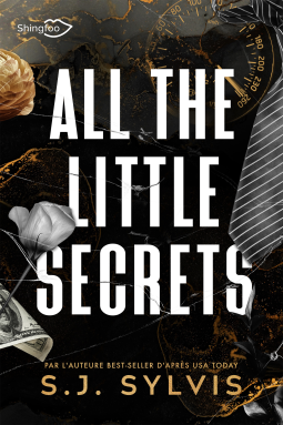 Couverture du livre pour All the Little Secrets