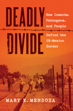 book cover for Deadly Divide
