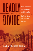 book cover for Deadly Divide