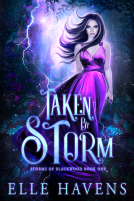 book cover for Taken by Storm