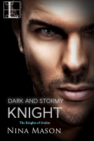 book cover for Dark and Stormy Knight