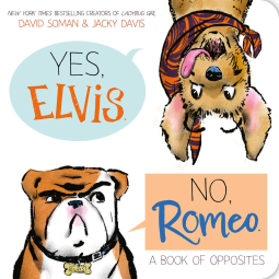 book cover for Yes, Elvis. No, Romeo.