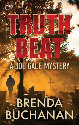 book cover for Truth Beat
