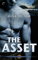 book cover for The Asset