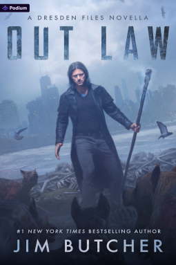 book cover for Out Law