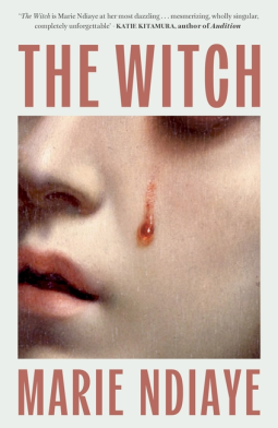 book cover for The Witch