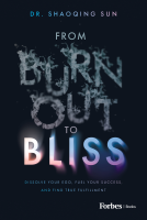 book cover for From Burnout to Bliss