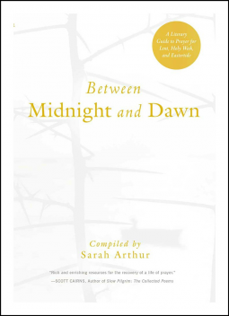 book cover for Between Midnight and Dawn