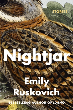 book cover for Nightjar