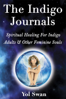 book cover for The Indigo Journals