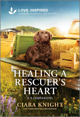 book cover for Healing a Rescuer's Heart