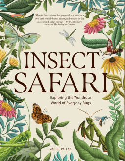 book cover for Insect Safari