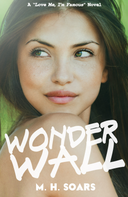 book cover for Wonderwall