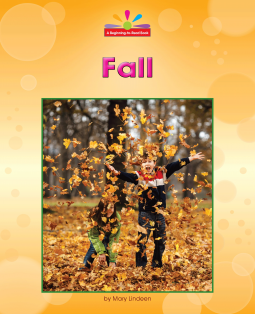 book cover for Fall