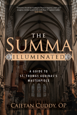 book cover for The Summa Illuminated