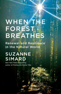 book cover for When the Forest Breathes