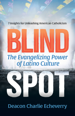 book cover for Blind Spot