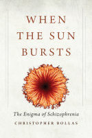 book cover for When the Sun Bursts
