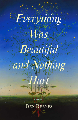 book cover for Everything Was Beautiful and Nothing Hurt