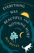 book cover for Everything Was Beautiful and Nothing Hurt