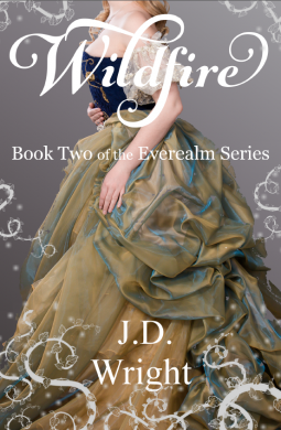 book cover for Wildfire