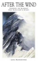 book cover for After The Wind