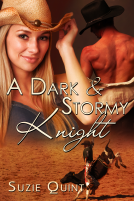 book cover for A Dark & Stormy Knight