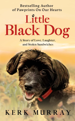 book cover for Little Black Dog