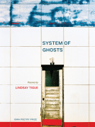 book cover for System of Ghosts
