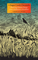 book cover for A Sugar Creek Chronicle