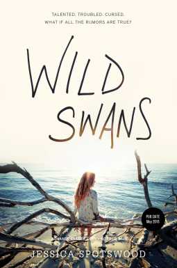 book cover for Wild Swans