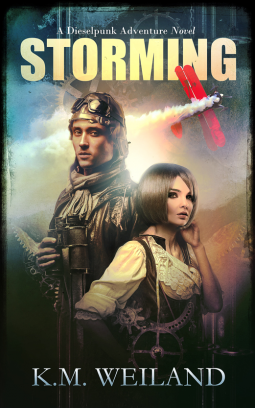 book cover for Storming