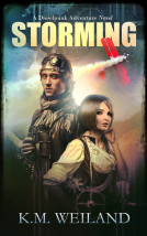 book cover for Storming