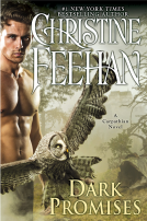 book cover for Dark Promises