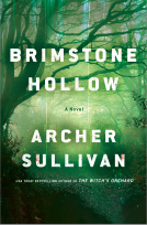 book cover for Brimstone Hollow