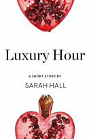 book cover for Luxury Hour