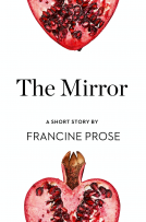 book cover for The Mirror