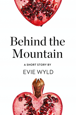 book cover for Behind the Mountain