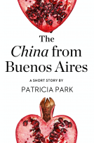 book cover for The China from Buenos Aires